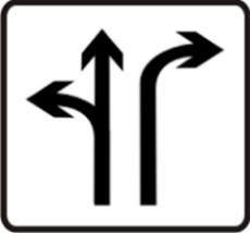 Lane sign